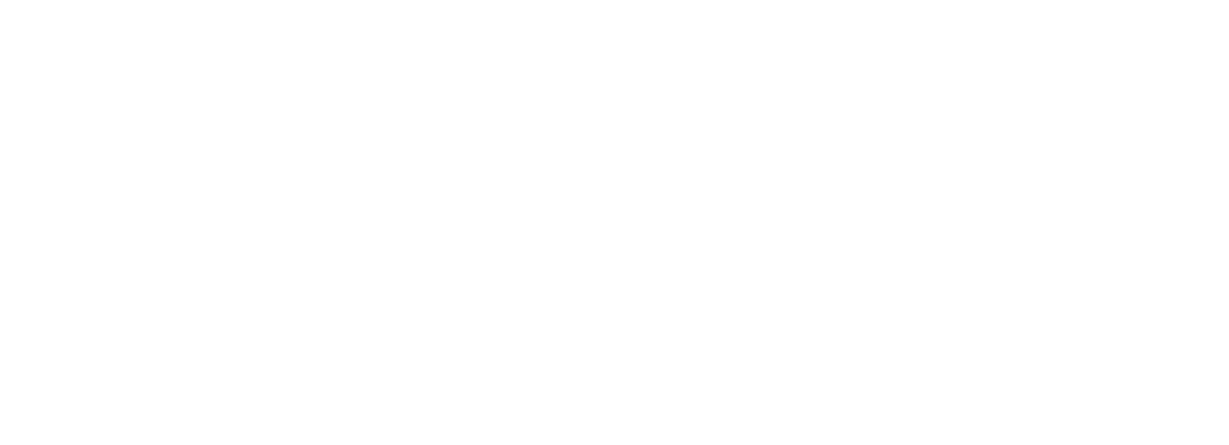 Bespoke Support Solutions — home